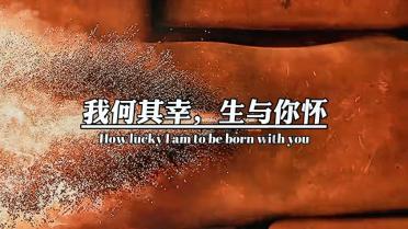 合金装备幸存